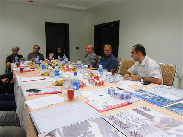 کانسپت گلفام 6