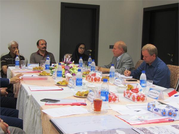 کانسپت گلفام 3