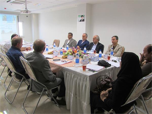 کانسپت گلفام 8