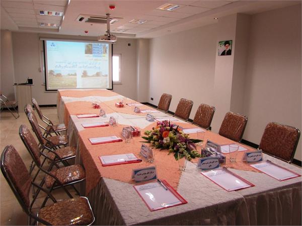 کانسپت گلفام 1